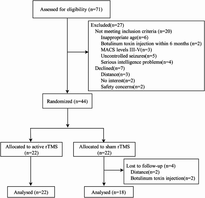 Repetitive transcranial magnetic stimulation influences cognitive-motor dual-task performance in children with cerebral palsy: a randomized controlled study.