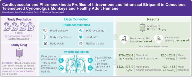 Cardiovascular and Pharmacokinetic Profiles of Intravenous Etripamil in Conscious Telemetered Cynomolgus Monkeys.