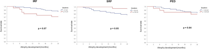 Automated fluid monitoring to optimize the follow-up of neovascular age-related macular degeneration patients in the Brazilian population.