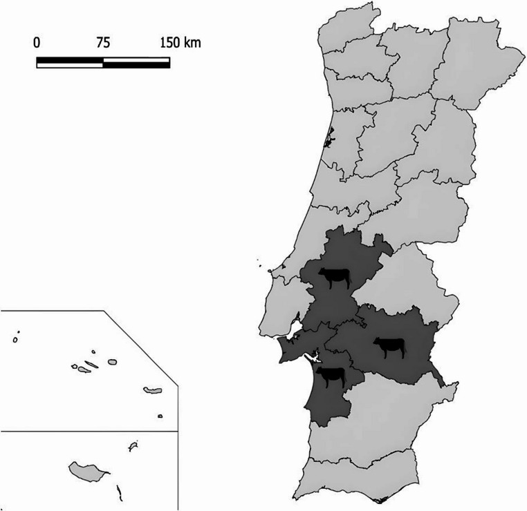 Absence of hepatitis E virus RNA in bovines from Portugal.