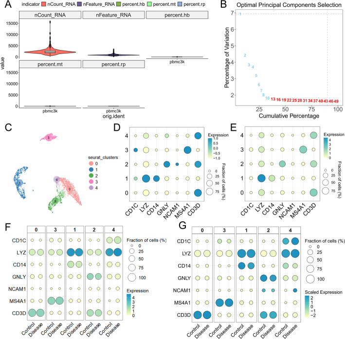 SCNT: an R package for data analysis and visualization of single-cell and spatial transcriptomics.
