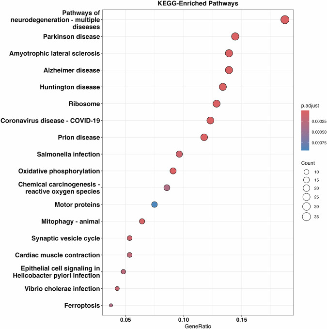 Identification of markers for neurescence through transcriptomic profiling of postmortem human brains.