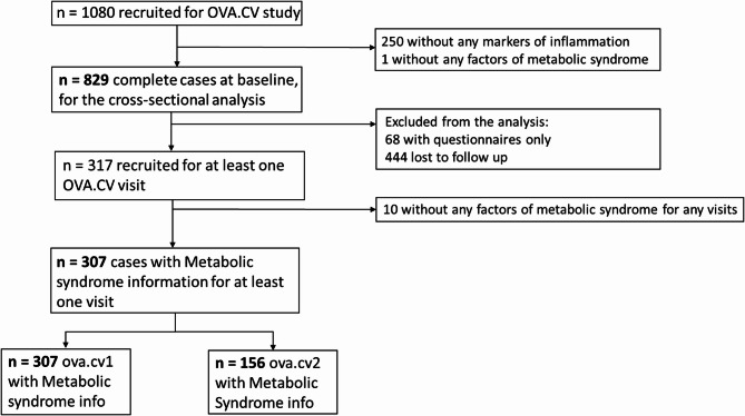 Ovarian aging, cardiovascular risk and inflammation: insights from the OVA study.