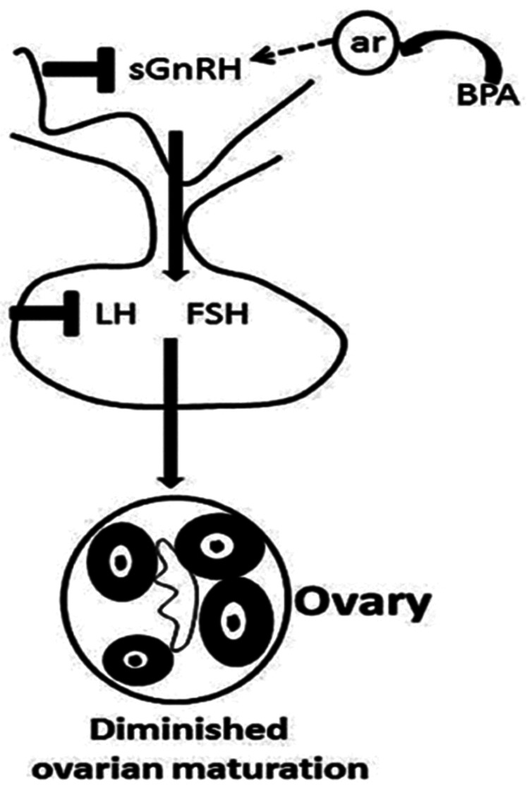 Role of personal care products as endocrine disruptors affecting reproductive age women.