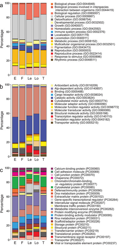 Proteomic Investigation of Human Dental Pulp to Identify Individuals Who Are Pregnant.