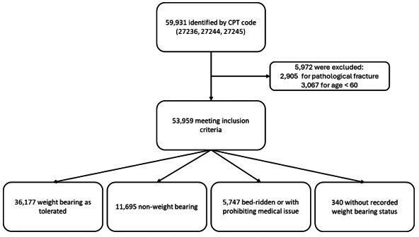 Does weightbearing status impact mortality and other complications in hip fracture patients when accounting for frailty?