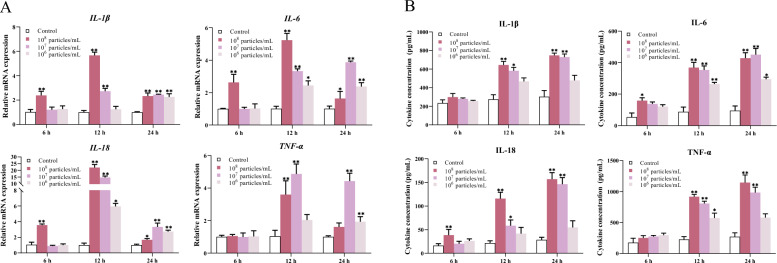 Time- and dose-dependent activation of the NLRP3 and MyD88/NF-κB pathways by Trueperella pyogenes membrane vesicles in bovine endometrial epithelial cells.