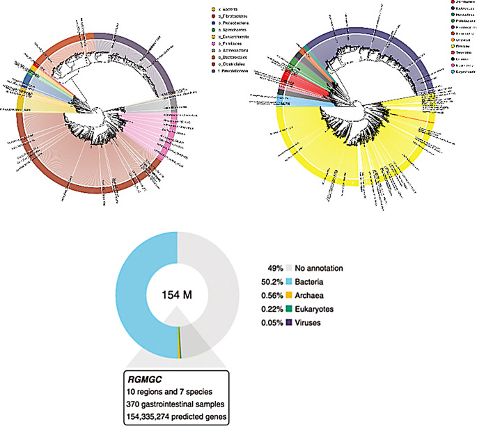 The crosstalk between host and rumen microbiome in cattle: insights from multi-omics approaches and genome-wide association studies.