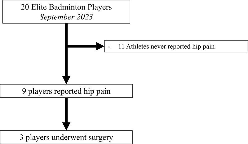 Prevalence of Hip Pain in Elite Badminton Players: Observational Study.