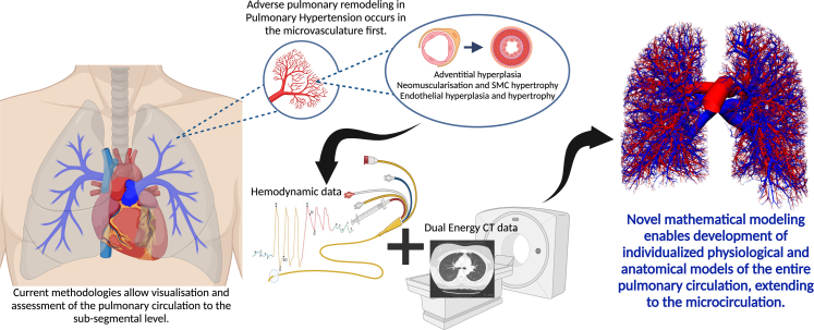 Small vessels, big problem: a dive into the pulmonary microcirculation in pulmonary hypertension and methods for evaluation.