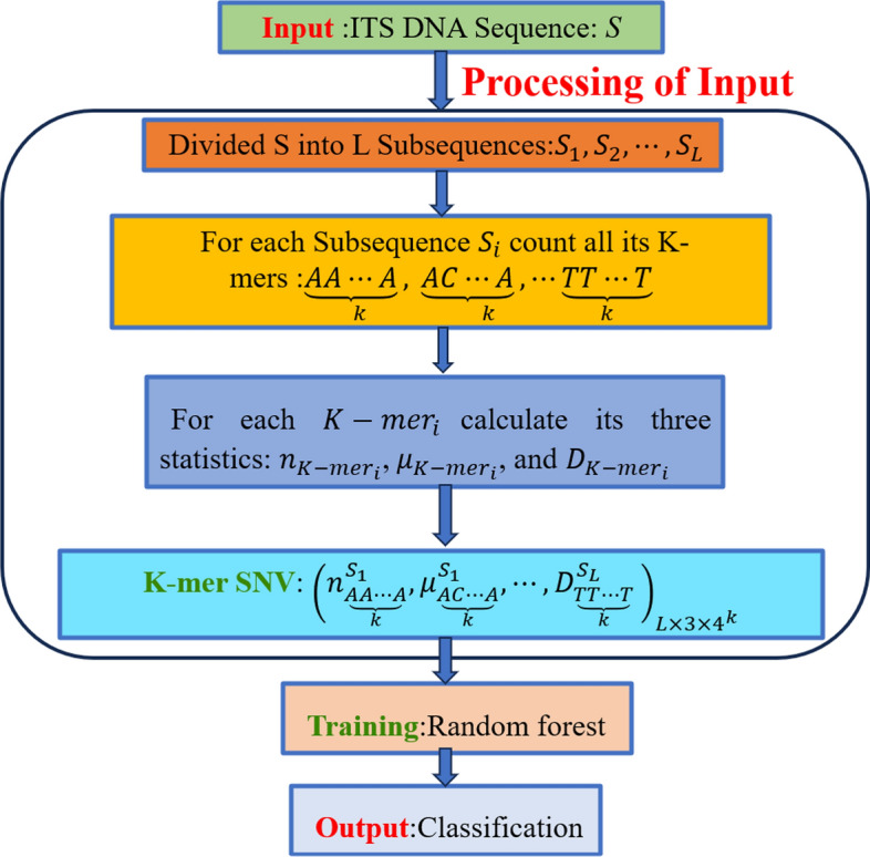 A new alignment-free method: K-mer Subsequence Natural Vector (K-mer SNV) for classification of fungi.