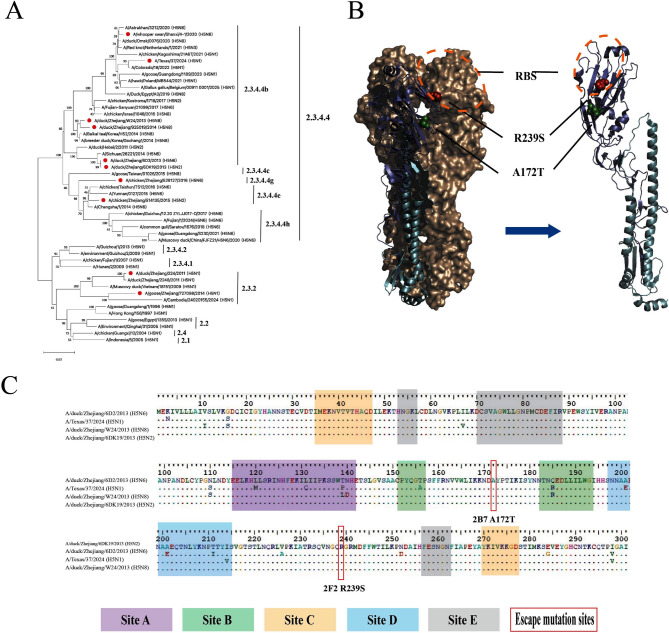 Quantum dot immunochromatographic strip for rapid and sensitive detection of H5 subtype avian influenza virus.