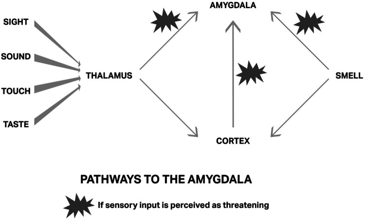 Havening: a psycho-sensory therapy for enhancing emotional resilience and psycho-emotional wellbeing across the perinatal period.