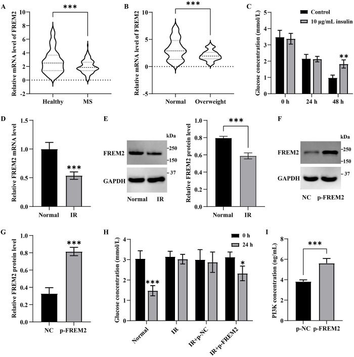 The predictive value of miR-28-5p and miR-424-5p in metabolic syndrome and their mechanism of action through regulation of Fras-1-related extracellular matrix protein 2.