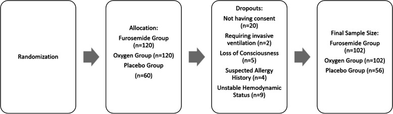 Comparison of the effects of inhalant furosemide, oxygen therapy, and placebo in patients with acute dyspnea referred to emergency departments by EMS in various hospitals in Tehran.