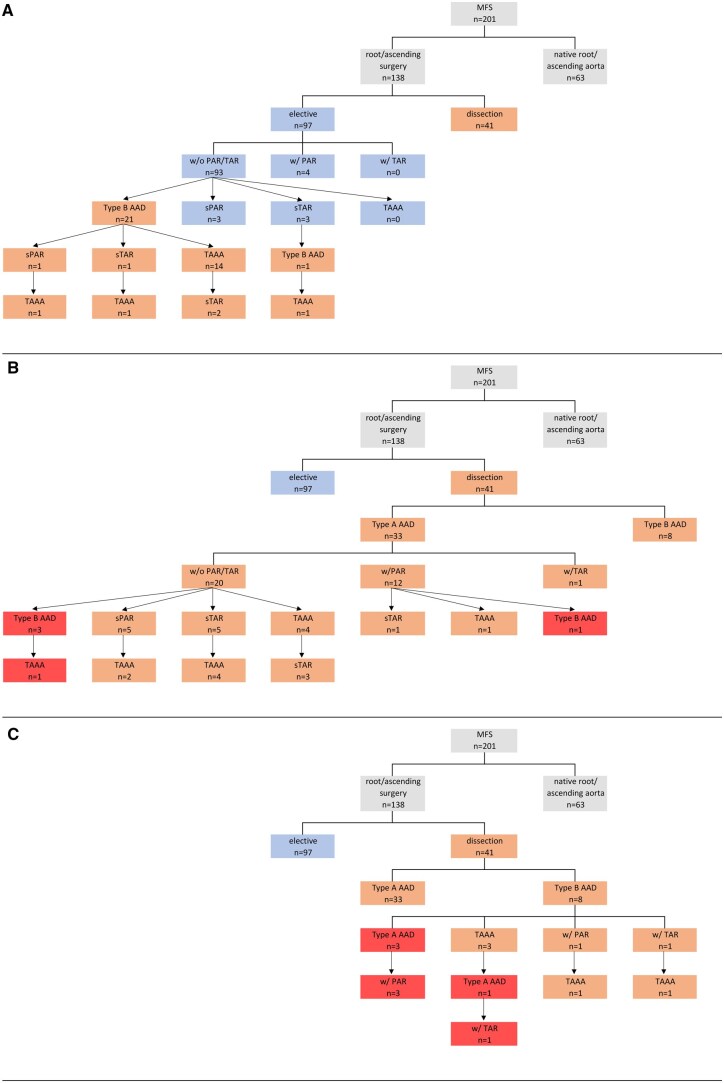 Management of the aortic arch in patients with syndromic heritable thoracic aortic disease.