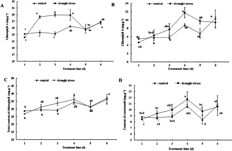 Transcriptome analysis of peach seedlings (<i>Prunus davidiana</i>) experiencing drought stress.