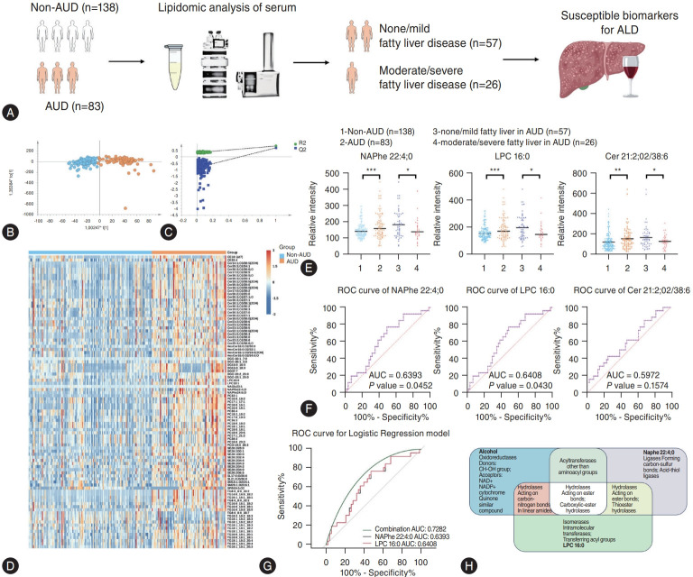 Lipidomic analysis of alcohol use disorder patients revealed the biomarkers for alcohol-related liver disease susceptibility.