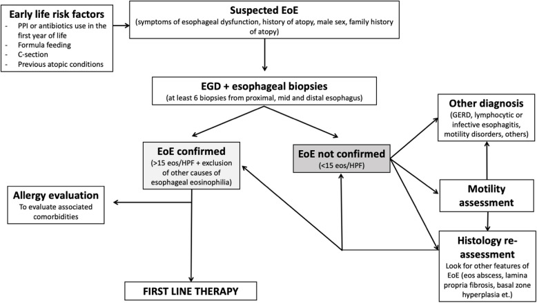 Eosinophilic esophagitis in children and adolescents: a clinical practice guideline.