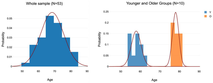 Stronger Short-Term Memory, Larger Hippocampi and Area V1 in People with High VVIQ Scores.