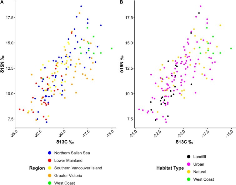 Physiological health of wintering glaucous-winged gulls in coastal British Columbia.