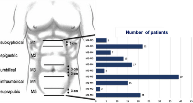 Clinical and perioperative outcomes of abdominal wall reconstruction and panniculectomy in a single surgical procedure: experience from a high-complexity center in bogotá, Colombia.