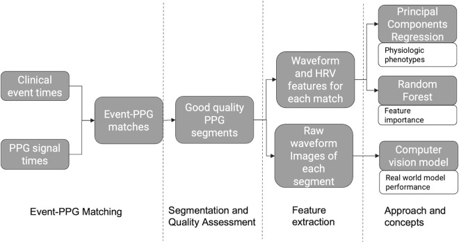 An artificial intelligence-based approach to identify volume status in patients with severe dengue using wearable PPG data.