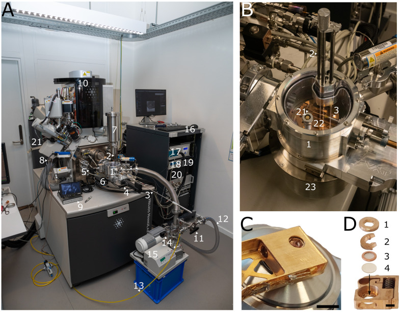 Workflow for Fluorescence-Targeted Lamella Milling From Vitrified Cells With a Coincident Fluorescence, Electron, and Ion Beam Microscope.