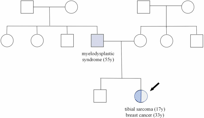 Clinical TP53 genetic testing is recommended for HER2-positive breast cancer patients aged 35 or younger.