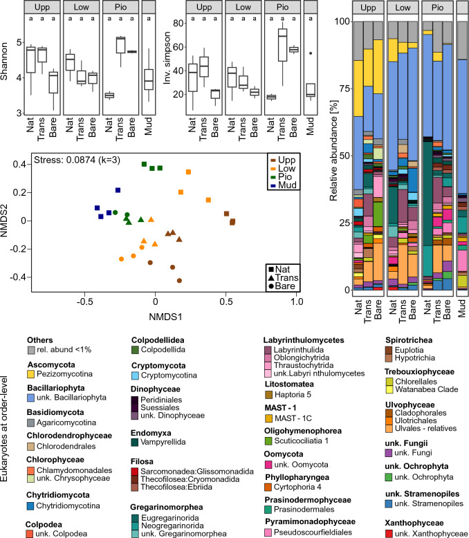 Microbial metacommunity of salt marshes rebuilds along an elevational gradient after initial disturbance.