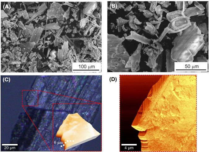 Novel experimental methods to investigate the effects of plant phytoliths on tooth enamel wear.