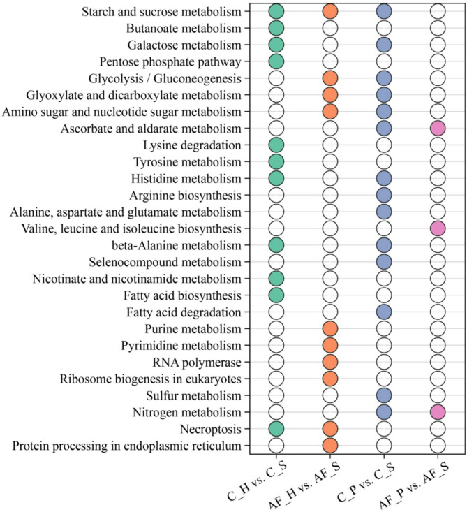 Regulatory mechanism of Haa1p and Hap4p in Saccharomyces cerevisiae to mixed acetic acid and formic acid when fermenting mixed glucose and xylose.