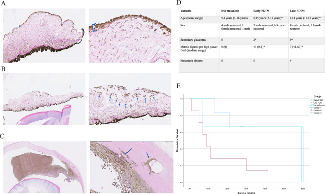 Uncovering the molecular signature of feline diffuse iris melanoma through transcriptomic analysis of disease severity.