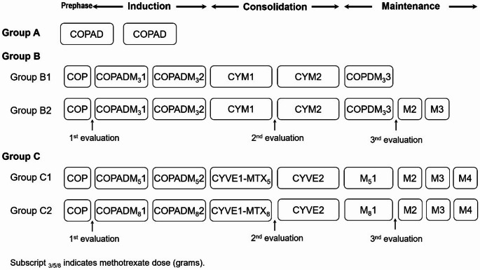 Clinical characteristics and treatment evaluation of diffuse large B-cell lymphoma in Chinese children and adolescents: a multicenter clinical study of China-Net childhood lymphoma group B-NHL-2017.