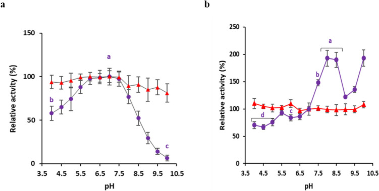 Immobilized β-galactosidase BgaC from Bifidobacterium adolescentis retains stability and activity during repeated cycles of use