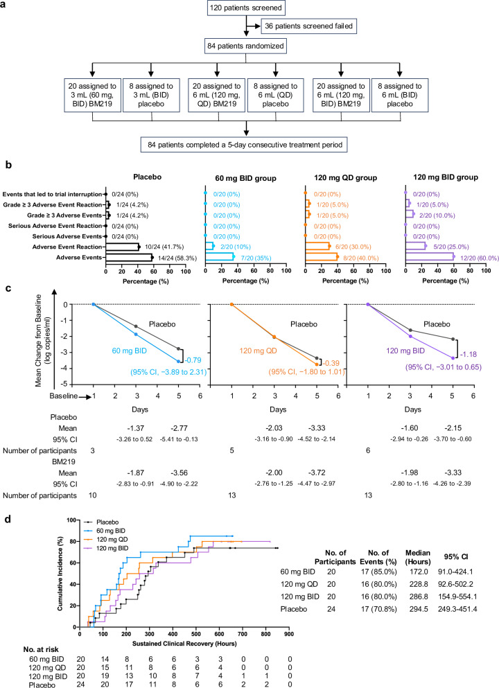 Inhaled bispecific single-domain antibody BM219 for mild-to-moderate COVID-19: a double-blind, randomized, placebo-controlled phase 2 trial.