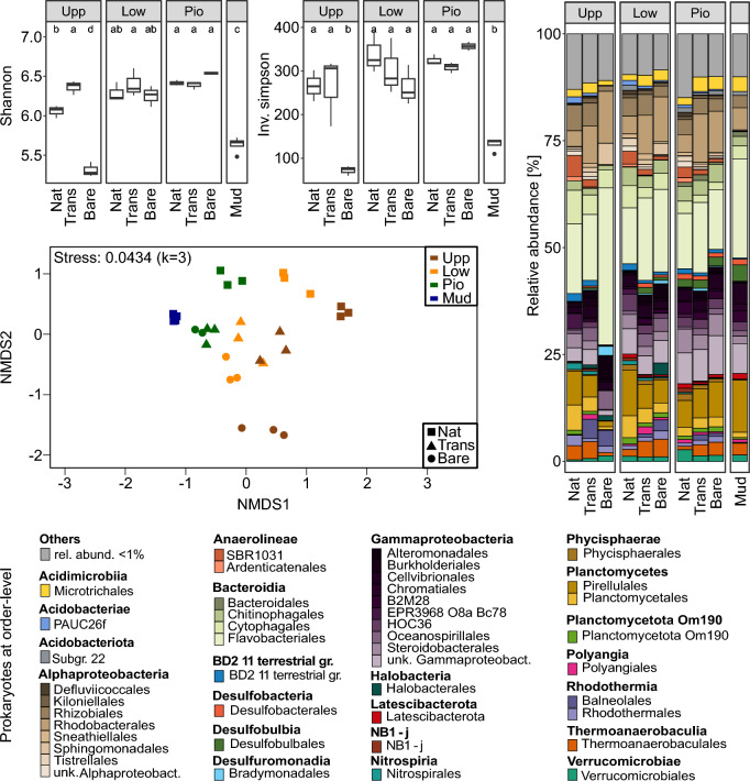 Microbial metacommunity of salt marshes rebuilds along an elevational gradient after initial disturbance.