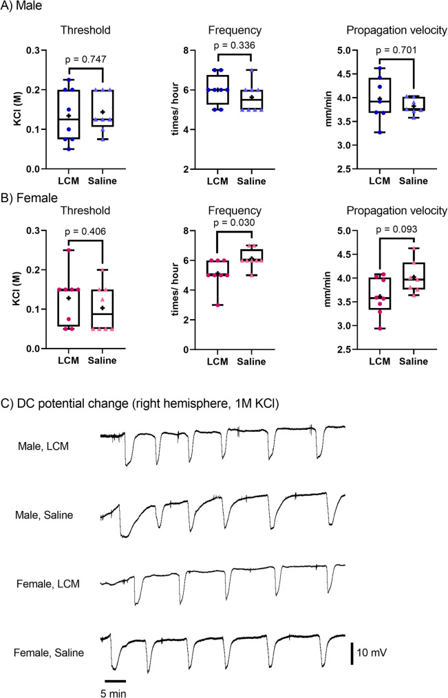 Effect of lacosamide on cortical spreading depolarization in mice.