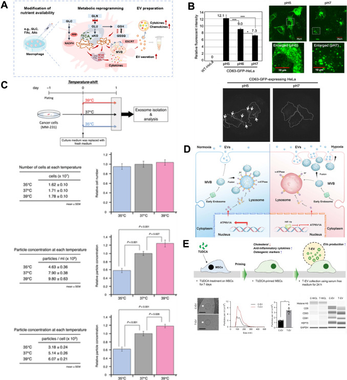 Physicochemical Modulation Strategies for Mass Production of Extracellular Vesicle.