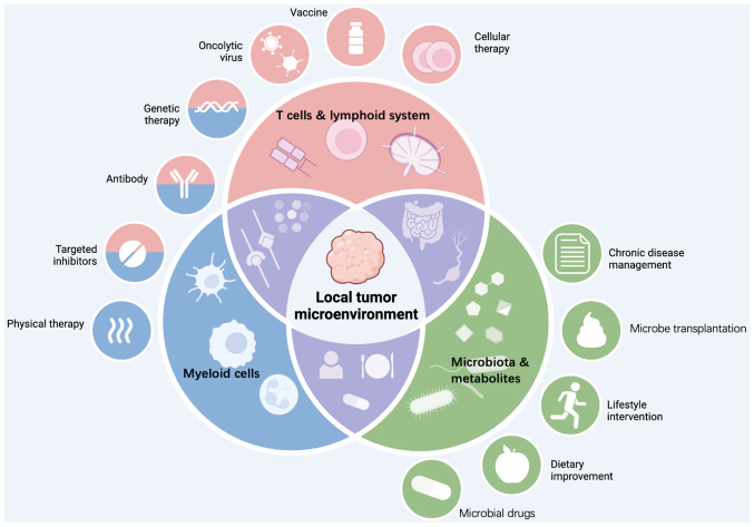 Beyond the tumor microenvironment: Orchestrating systemic T‑cell response for next‑generation cancer immunotherapy (Review).