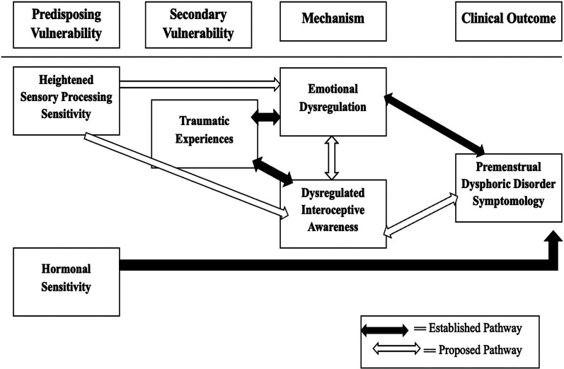 Understanding premenstrual dysphoric disorder from a psychosomatic and a sensory perspective.