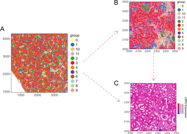 SCNT: an R package for data analysis and visualization of single-cell and spatial transcriptomics.