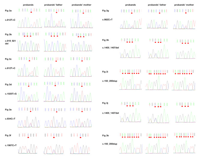 Hypotrichosis 14: novel variants of the LSS gene in five Chinese families and insights from literature review.