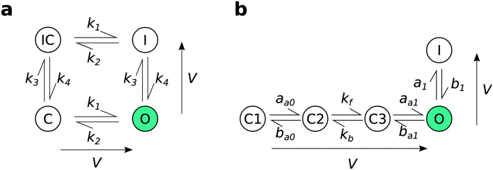 A range of voltage-clamp protocol designs for rapid capture of hERG kinetics.
