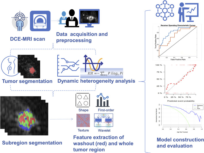 Dynamic contrast-enhanced MRI-based radiomics model of intra-tumoral kinetic heterogeneity for predicting breast cancer molecular subtypes.