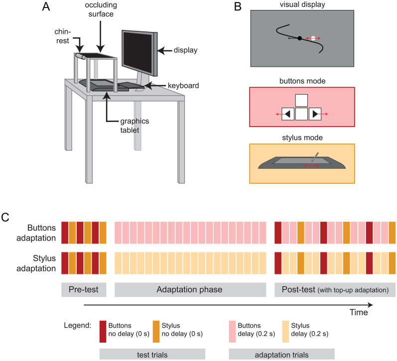 Delay adaptation does not transfer between discrete button press actions and continuous control.