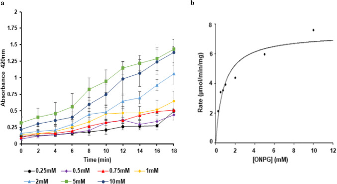 Immobilized β-galactosidase BgaC from Bifidobacterium adolescentis retains stability and activity during repeated cycles of use