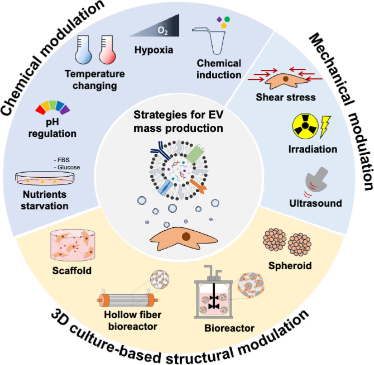 Physicochemical Modulation Strategies for Mass Production of Extracellular Vesicle.