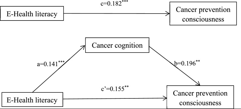 Association between the e-healthy literacy and cancer prevention consciousness in rural China: cancer cognition acting as a mediator.