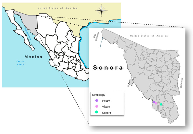 Environmental Arsenic Exposure, Biomarkers and Lung Function in Children from Yaqui Communities in Sonora, Mexico.
